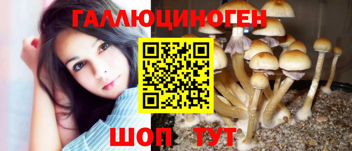 Галлюциногенные грибы ЛСД  Вход с VPN  Ноябрьск  Галлюциногенные грибы MAGIC MUSHROOMS 